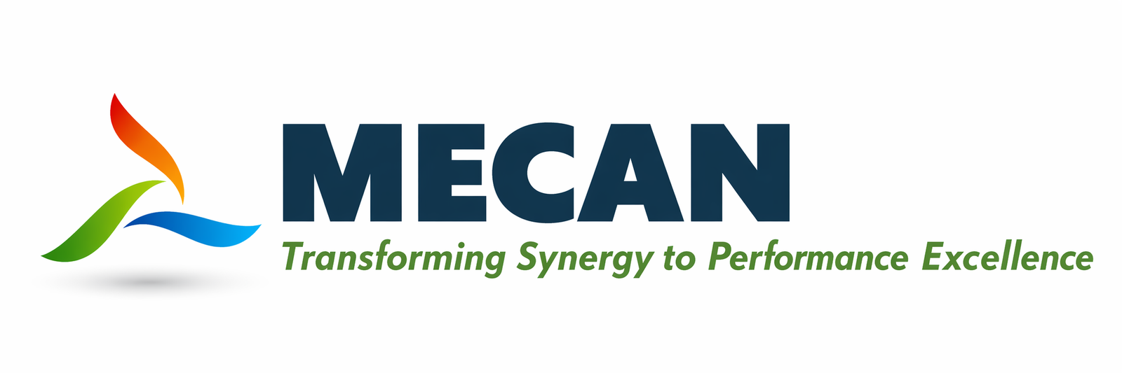 MECAN — Transforming Synergy to Performance Excellence